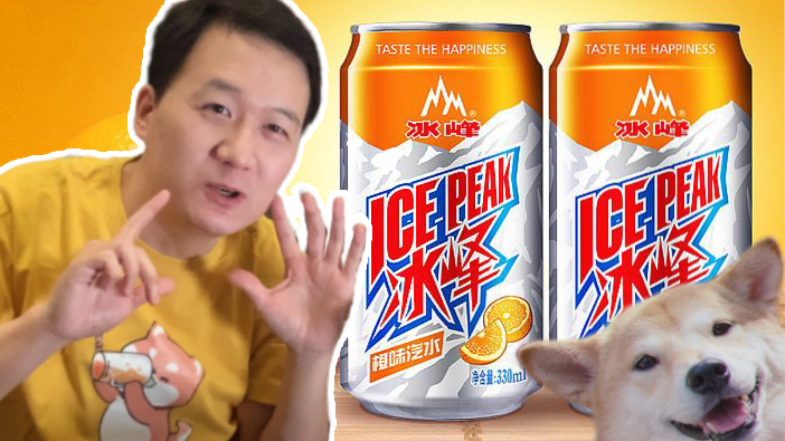 安尔萨斯:你们的冰峰王子回来了!!